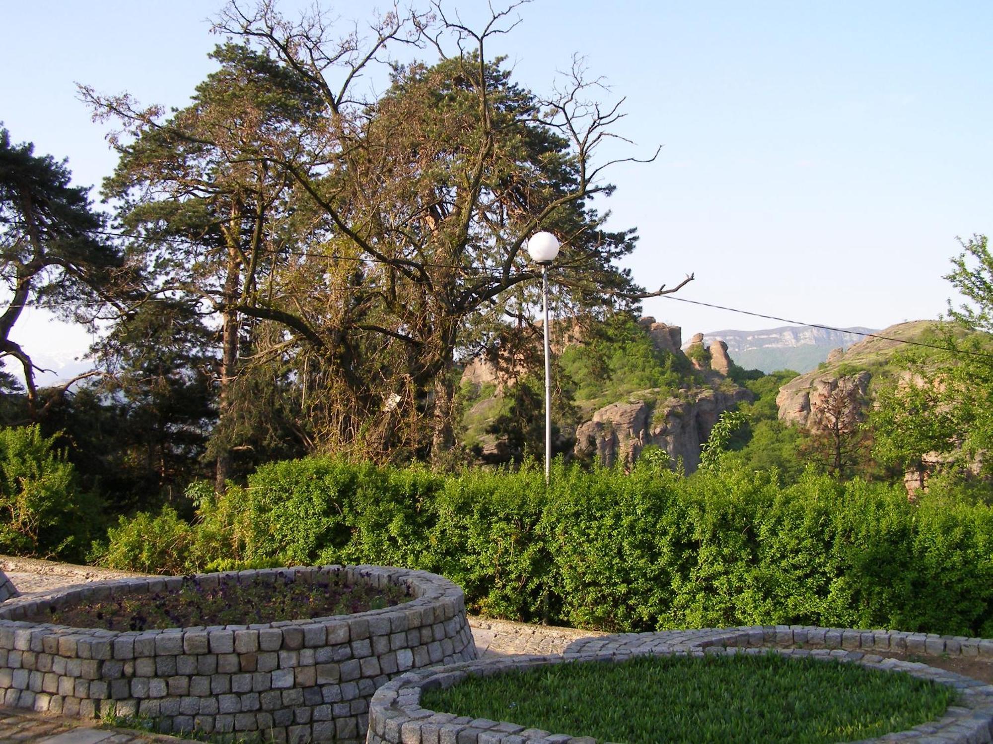 Belogradchik View Apartment Eksteriør bilde